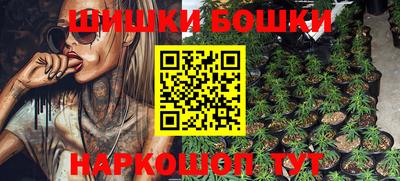 индика Нягань