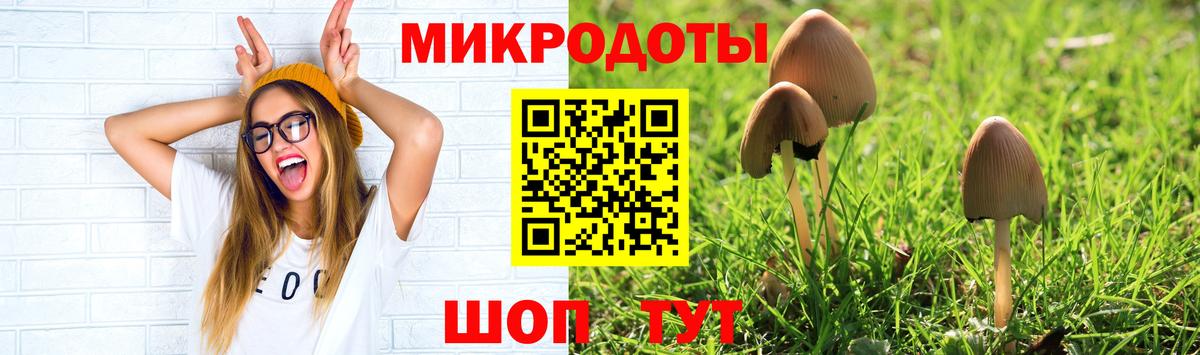 Псилоцибиновые грибы Cubensis  Вход с VPN  Псилоцибиновые грибы GOLDEN TEACHER  Серпухов 