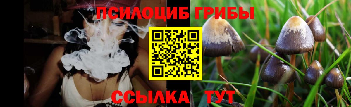 Галлюциногенные грибы Cubensis Серпухов